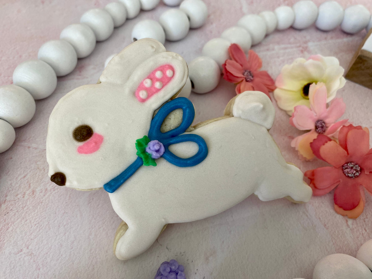 Fundraiser for Navy Rabbit!