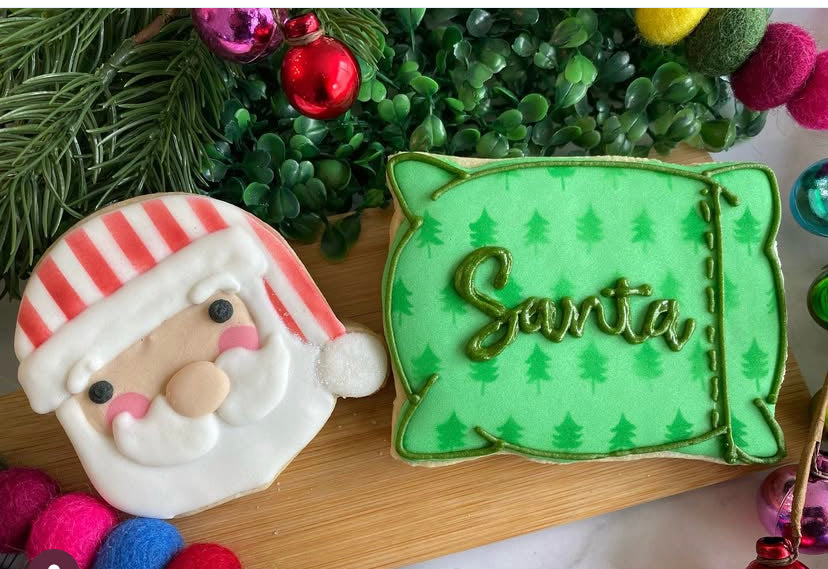 Sleeping santa and pillow